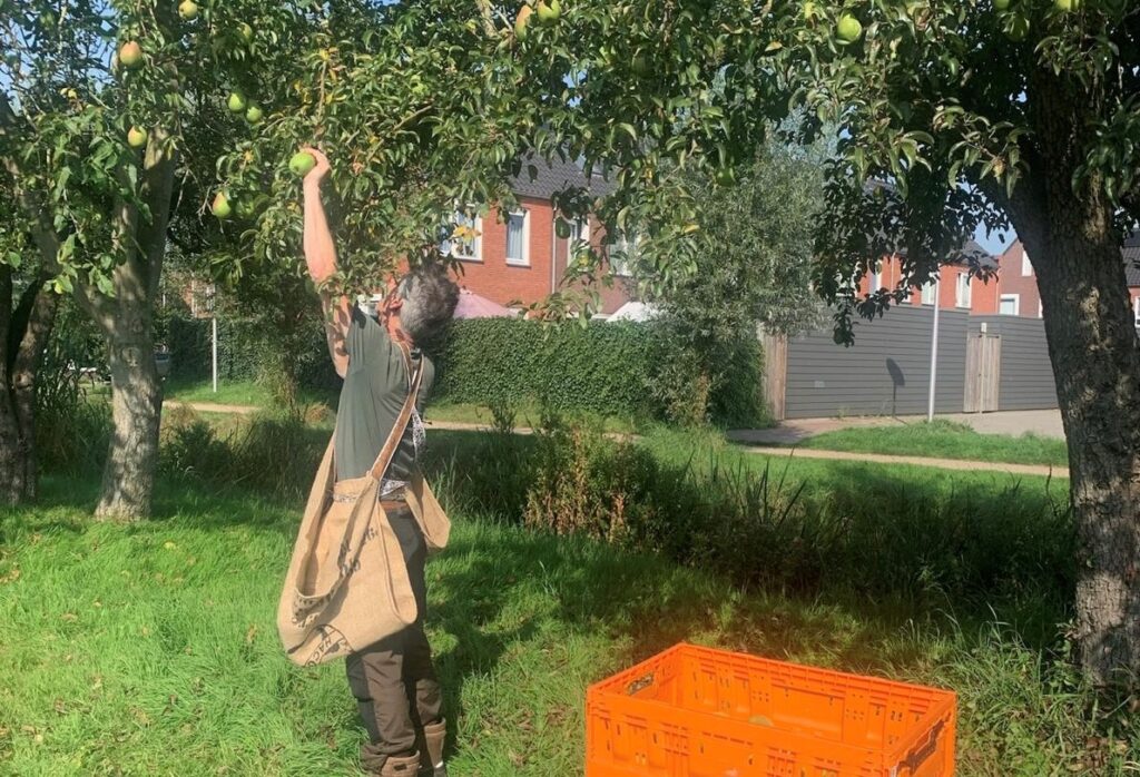 appels plukken Burgerboerderij Oosterwold Almere