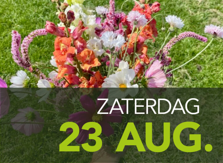 workshop veldboeket groene pluk