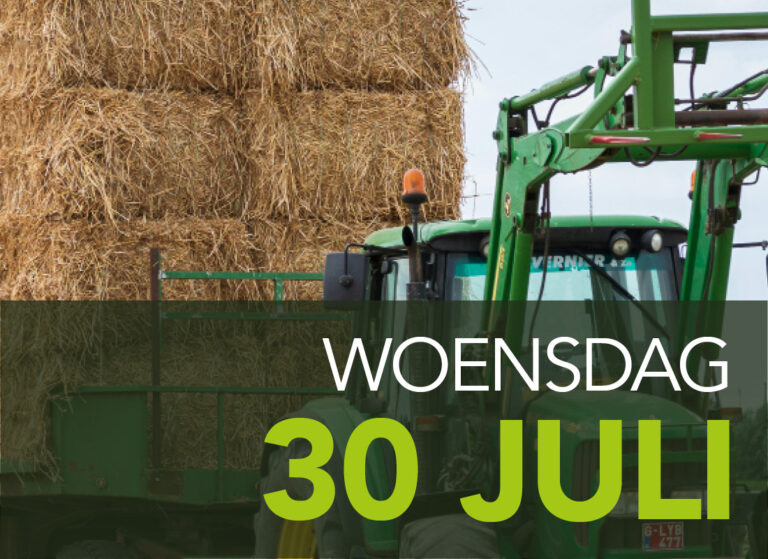 stro van het land halen