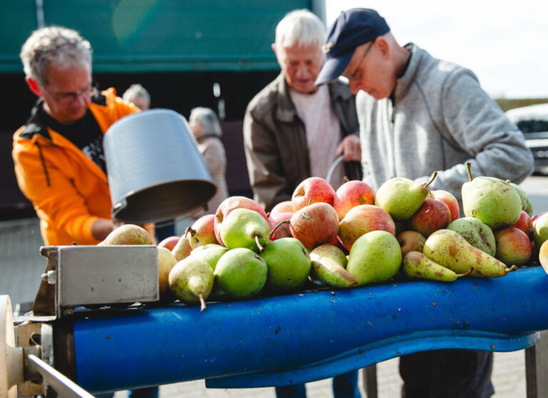 terugblik oogstfeest 2025