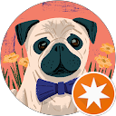 Coba Beugeling profielfoto