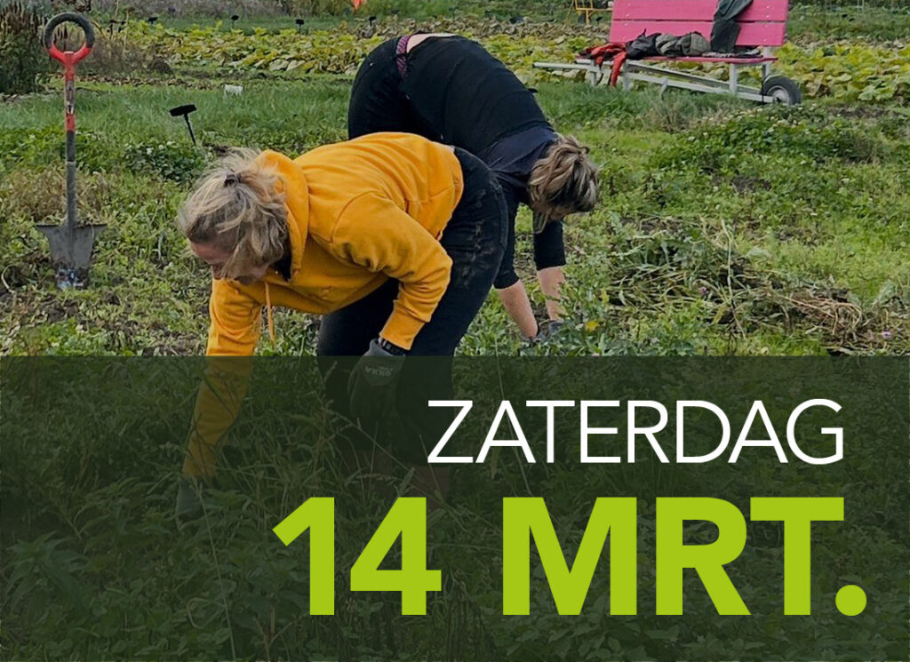 helpen pluktuin Groene Pluk seizoensklaar te maken