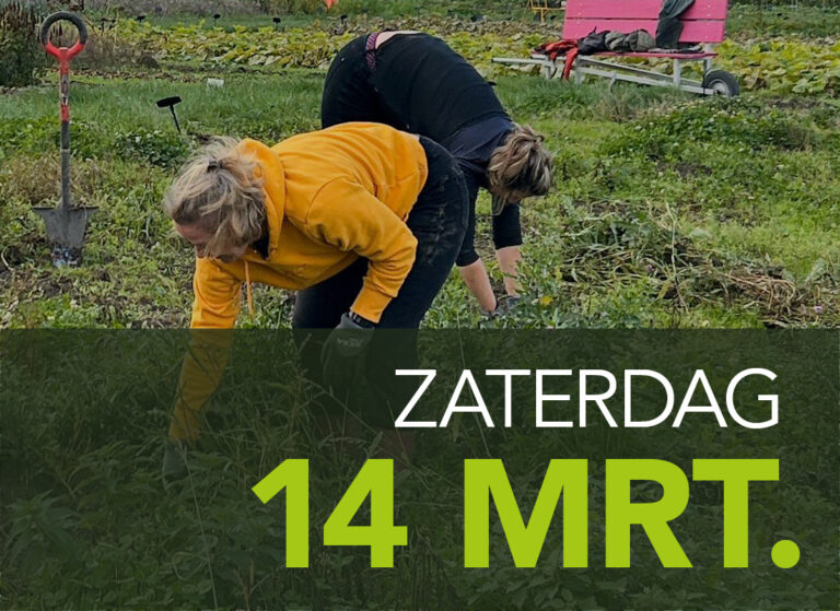 helpen pluktuin Groene Pluk seizoensklaar te maken