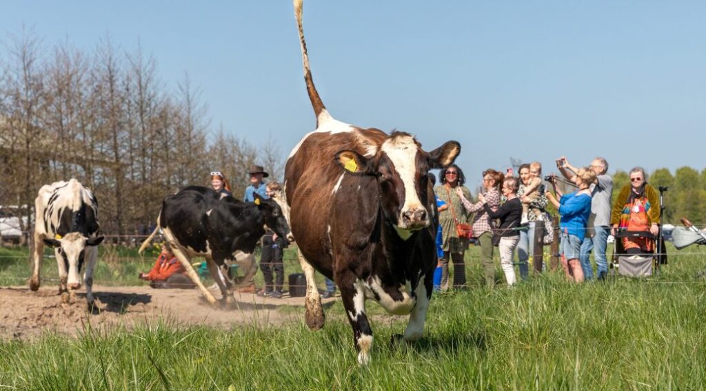 7 februari – Boerenvuur BurgerBoerderij Oosterwold: meerdere ondernemers op één erf