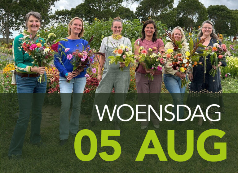 workshop veldboeket plukken