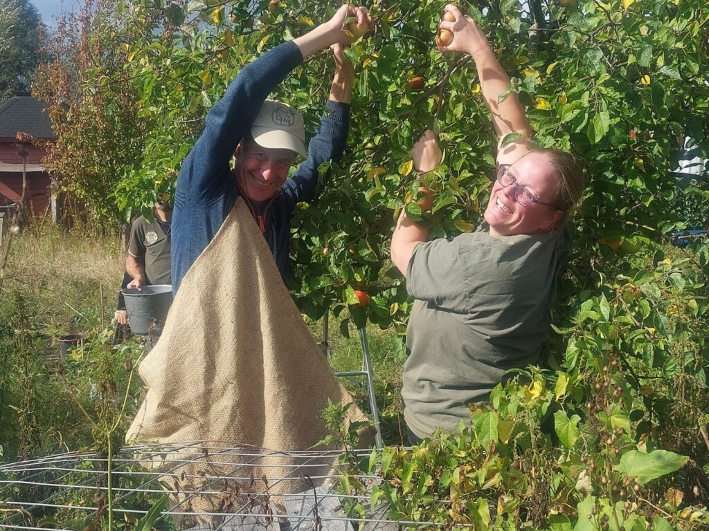appels plukken Almere