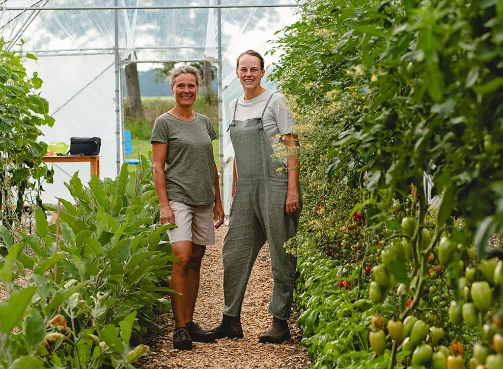 Landbouw Legendes van Flevoland Groene Pluk