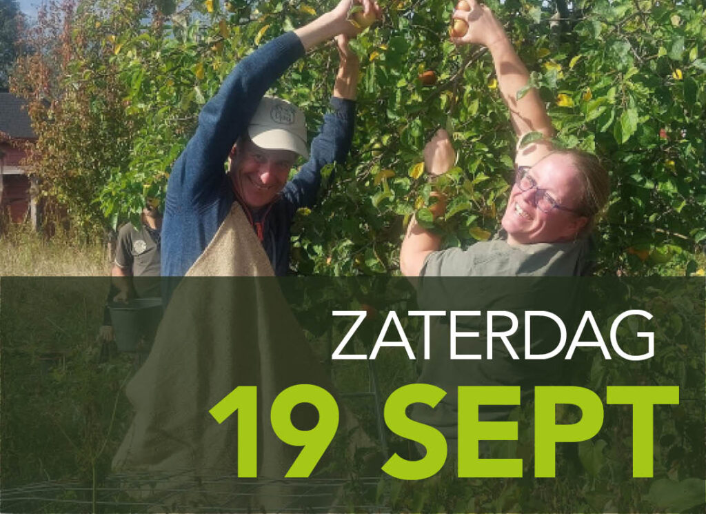 appels plukken Almere oosterwold
