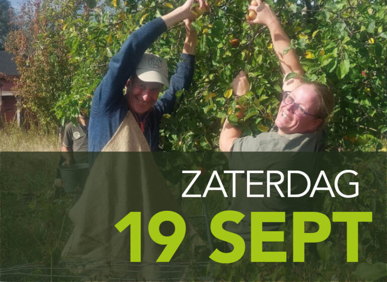 appels plukken Almere oosterwold