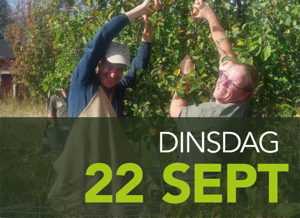 appels plukken almere